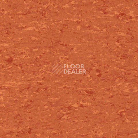 Линолеум Gerflor Mipolam Accord 0315 ORANGE RIVER фото 1 | FLOORDEALER